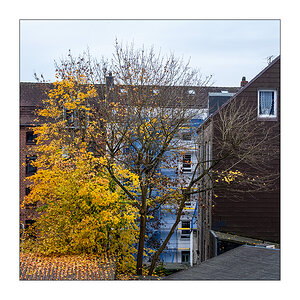 313/365 Soft Cell – Tainted Love © 2025 Sabine Lommatzsch