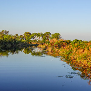 2025-09-30 059 In the Okavango Delta.jpg