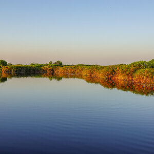 2025-09-30 063 In the Okavango Delta.jpg