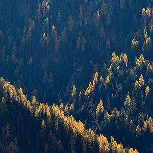 Herbst.jpg