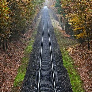 Herbstgleis.jpg