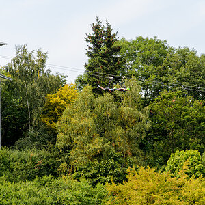 OF-46257.jpg
