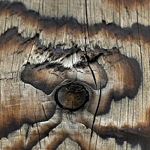 Holzgeist 4.jpg