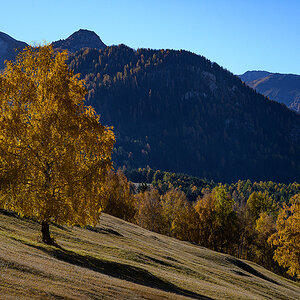Herbst.jpg