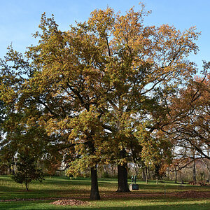 DSC_6668.JPG