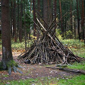Waldkindergarten 2.jpg