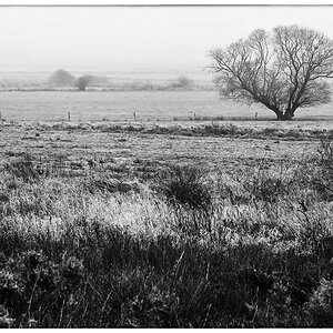 Seewiesen im November BW.jpg
