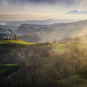 Variante_DZ89134 (2).jpg