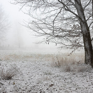 Schnee und Nebel im Rheingaugebirge