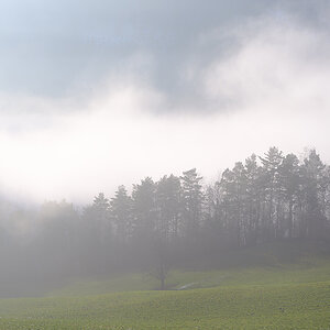 Nebel.jpg