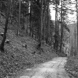 Erschwil_AF2_1182_12.jpg