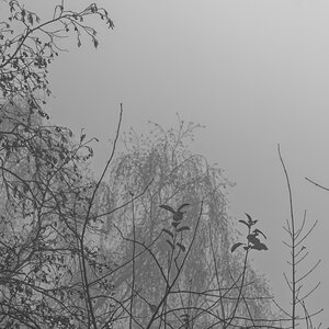 _DSC0975_DxOAxl_SW.jpg
