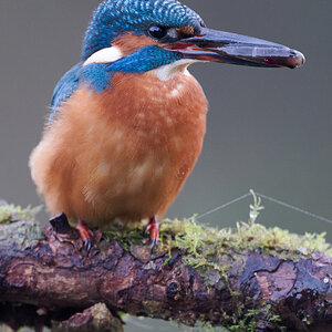 05 400mm f-2.8.jpg