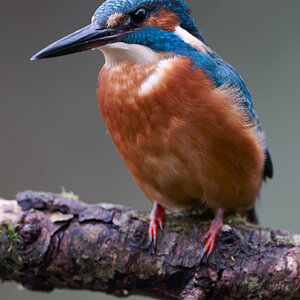 07 400mm f-2.8.jpg