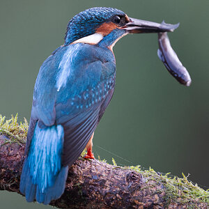 10 400mm f-2.8.jpg