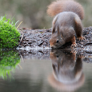 12 400mm f-5.jpg