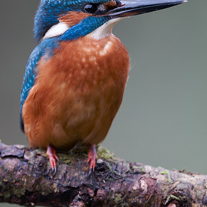 13 400mm f-2.8.jpg