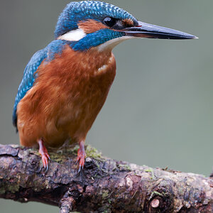 14 400mm f-4.jpg
