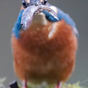 23 400mm f-2.8.jpg