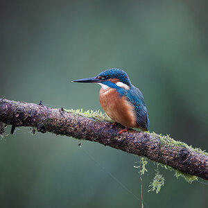 26 400mm f-2.8.jpg