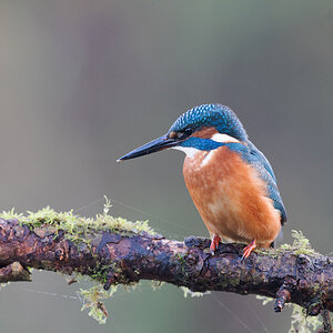 27 560mm f-5.6.jpg