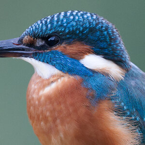 28 400mm f-2.8.jpg
