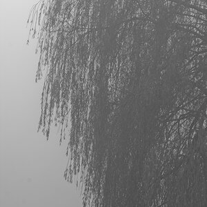 _DSC0982_DxOxl_SW.jpg