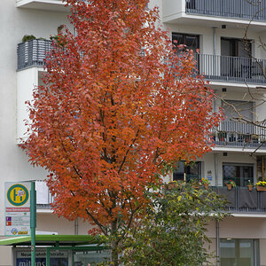 _Z508639_DxOKxl.jpg