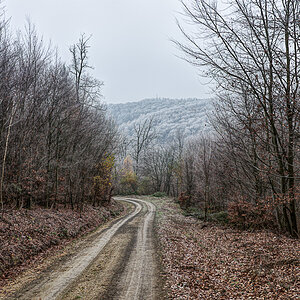 November im Untertaunus