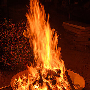 OF2_23420.jpg