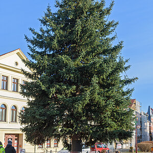 OF2_76494.jpg