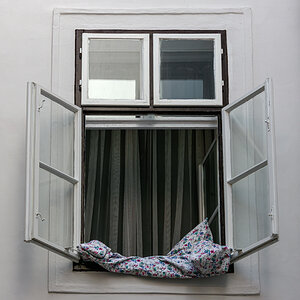 fenster.jpg