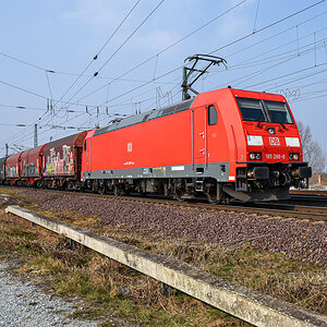 OF2_72981.jpg