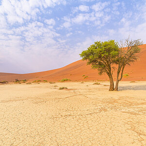 2025-09 Namibia - Sossusvlei.jpg