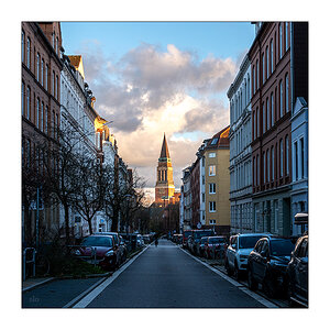 323/365 Tom Odell – Can We Just Go Home Now © 2025 Sabine Lommatzsch