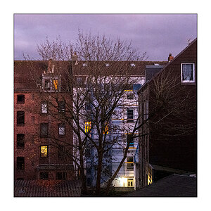 334/365 Enya – Evening Falls © 2025 Sabine Lommatzsch
