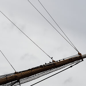 KSW04416.jpg