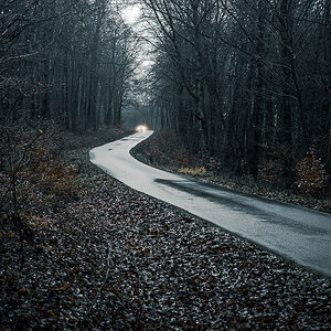 Hinterlandwaldstraße im Untertanus