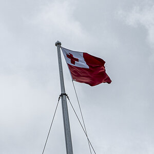 Tonga.jpg