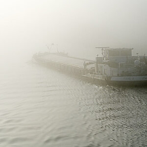 Emma im Nebel 2.jpg