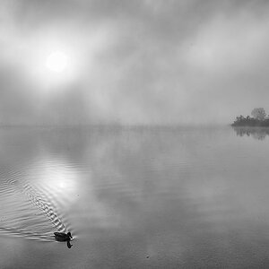 Walchsee-Lofer-Aschau-7199-Bearbeitet.jpg