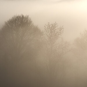 Nebel.jpg