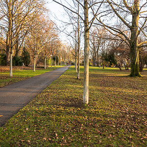 DSCF0078.jpg