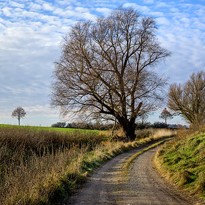 OFZ_03049.jpg
