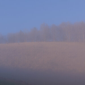 Nebel.jpg