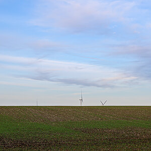 OFZ_03204.jpg