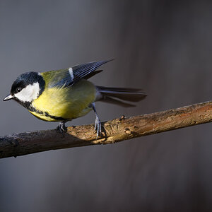 _DSC4324-Bearbeitet.jpg