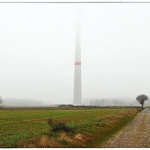 Nebelmast_Color Efex.jpg