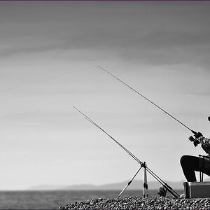 comp_2Fisherman-sw.jpg
