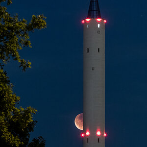 D50_7542-Bearbeitet.jpg